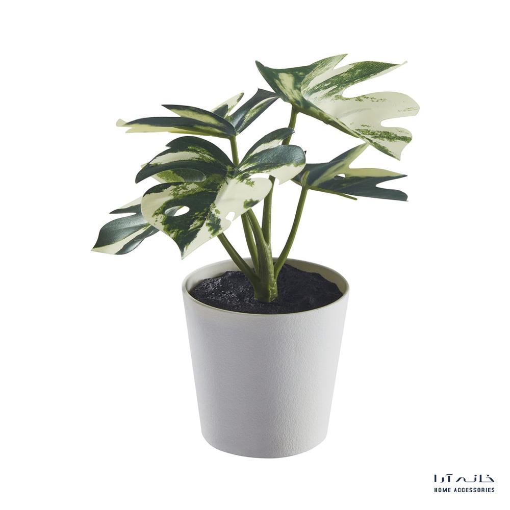 Ikea-Fejka-805-932-05