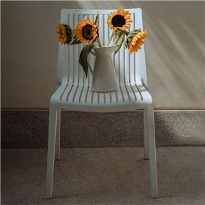nazari-Cool-N495-17