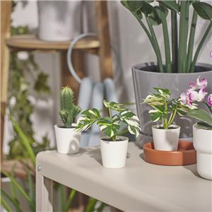 Ikea-Fejka-805-932-05-3