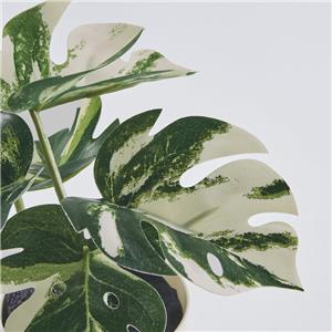 Ikea-Fejka-805-932-05-4