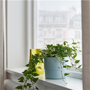 Ikea-Nypon-905-451-48-2