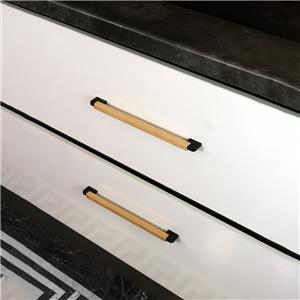 Satida-S450-11