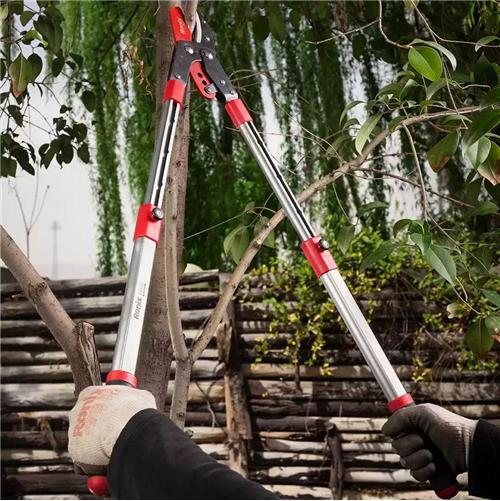 قیچی شاخه زن تلسکوپی رونیکس RH-3121