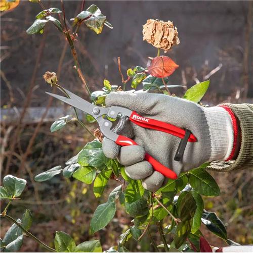 قیچی میوه چین رونیکس RH-3150